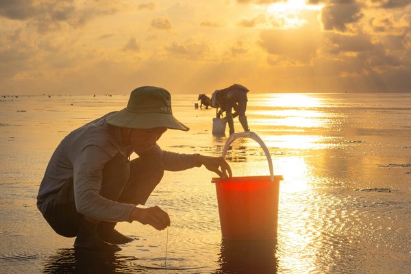 Découvrez le bob pêcheur : confort et style pour l'été !